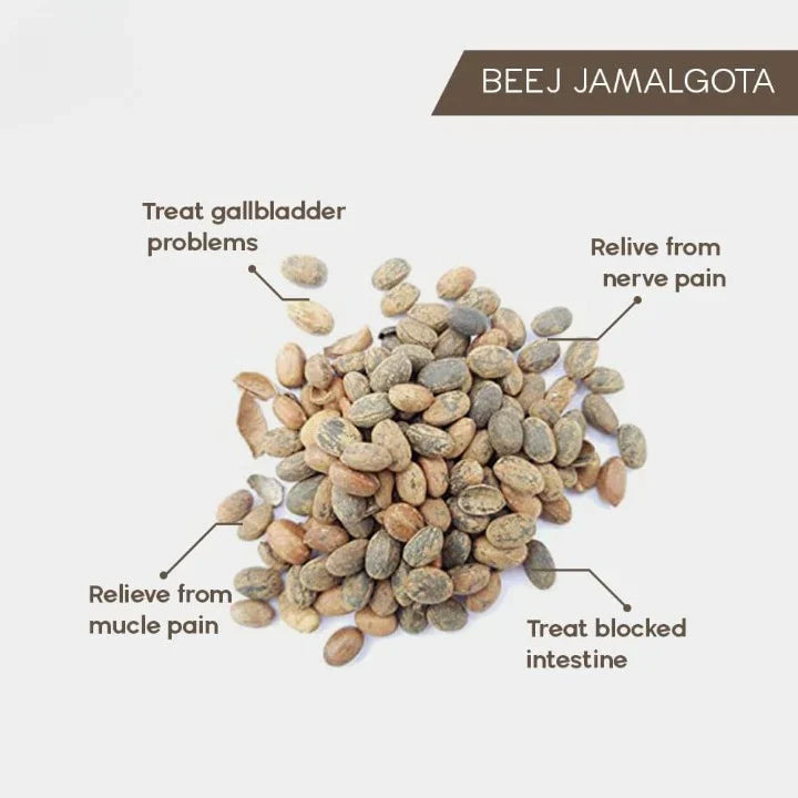 Jamalgota™ Ayurvedic Hair Growth Powder
